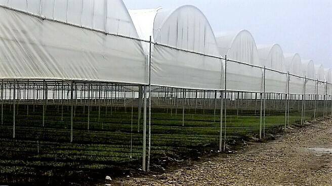 arrigoni_reti_ombreggianti|arrigonibioreti